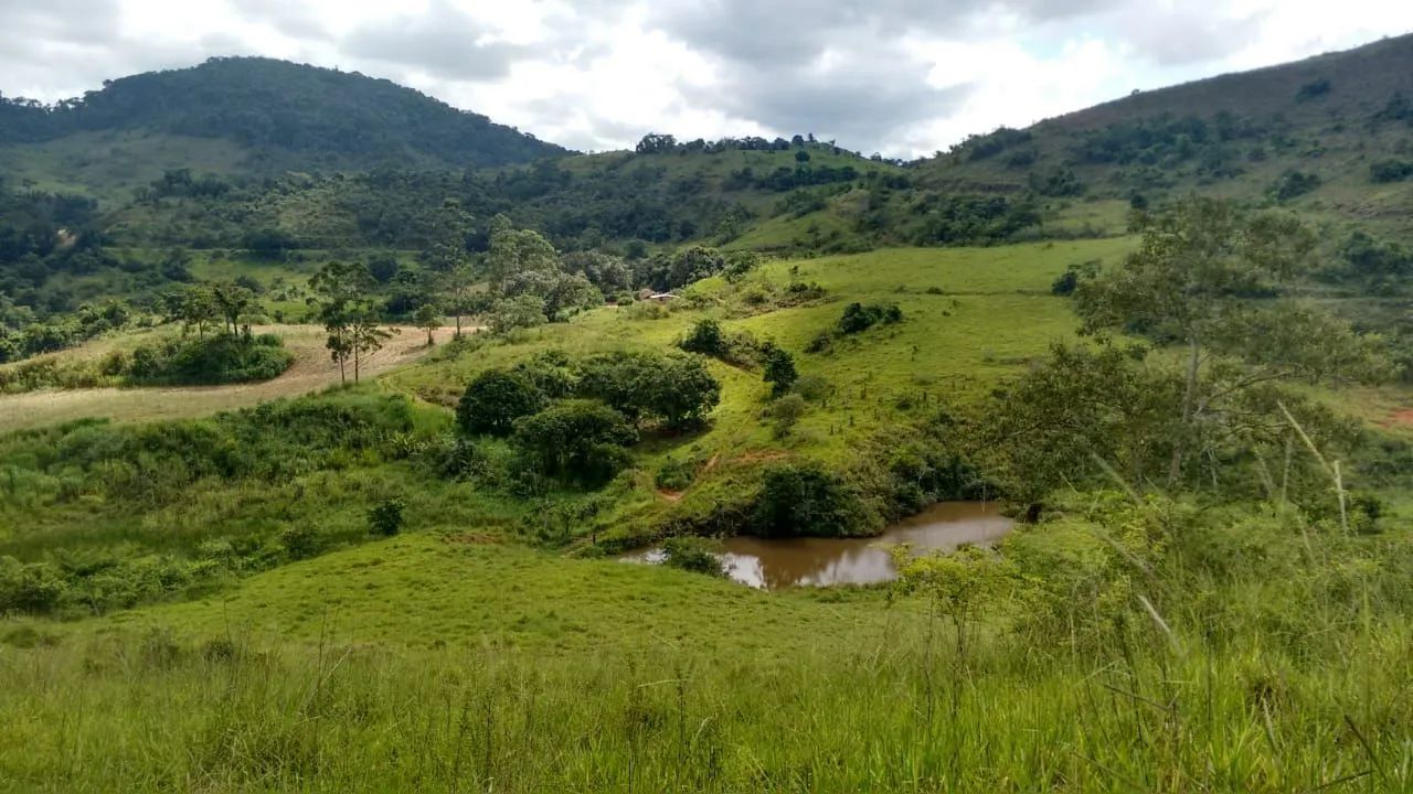 Sitio em Simão Pereira  - Foto 5