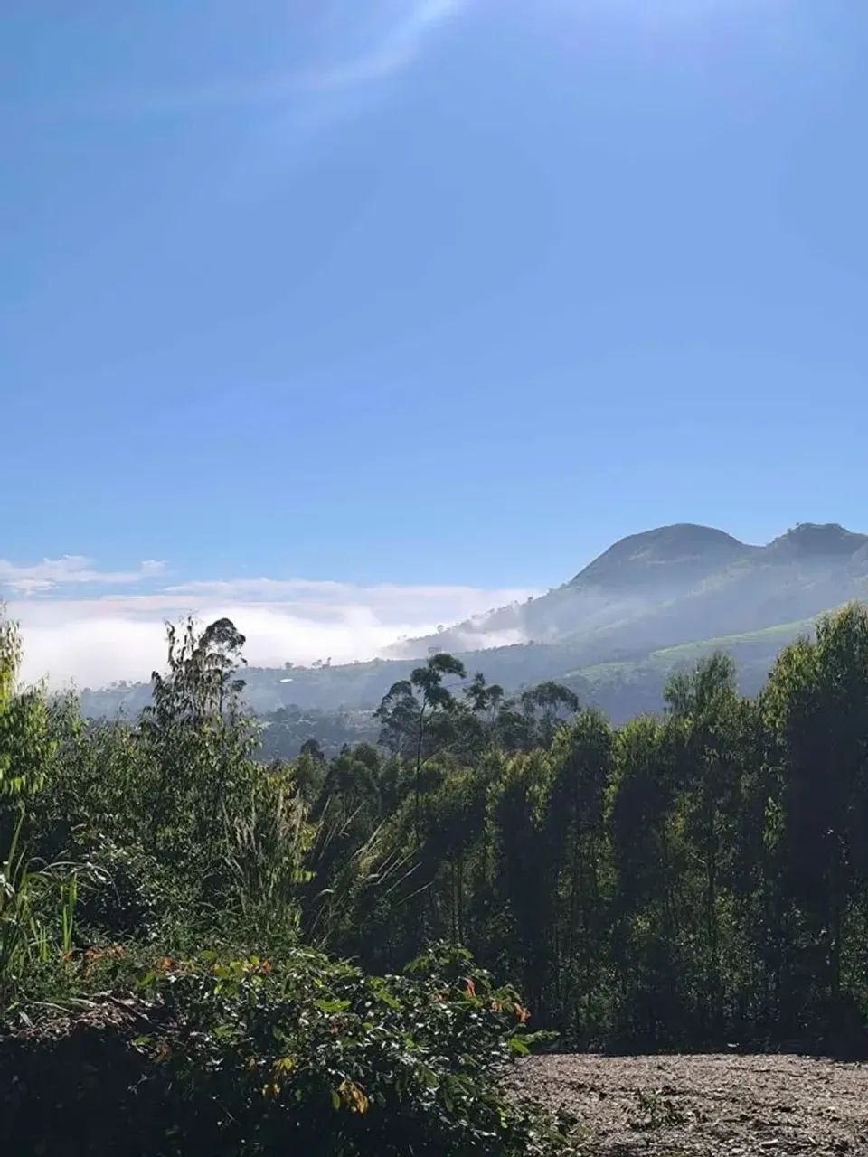 Foco em Diferenciais e Valorização - Foto 3