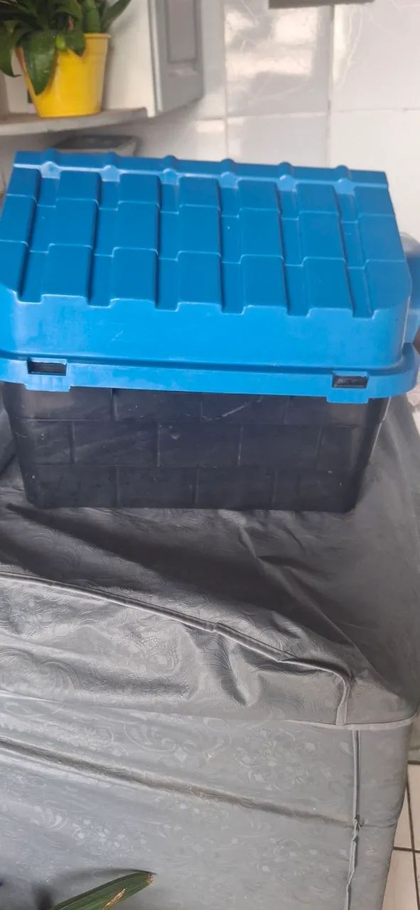 Casinha cachorro - Foto 2