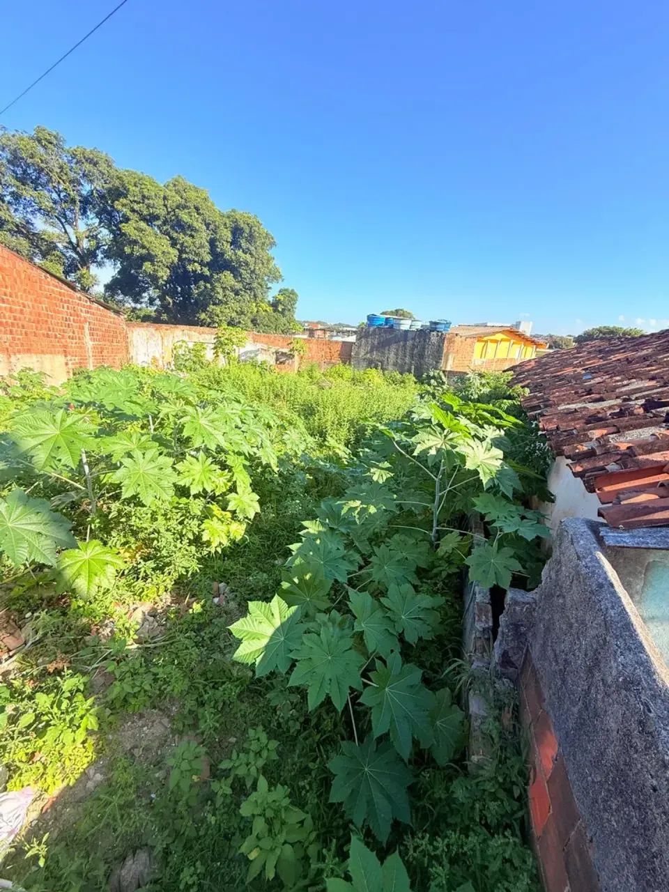 Terreno à Venda em Abreu e Lima - Três minutos do Centro. - Foto 3