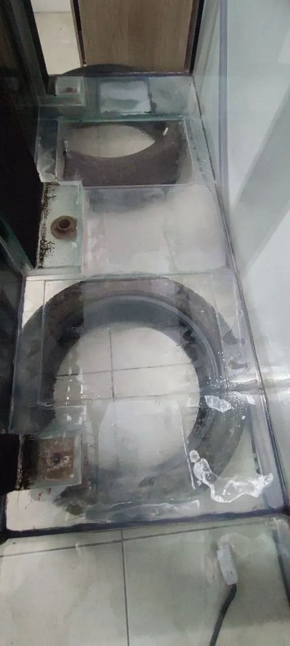 Aquário  - Foto 4