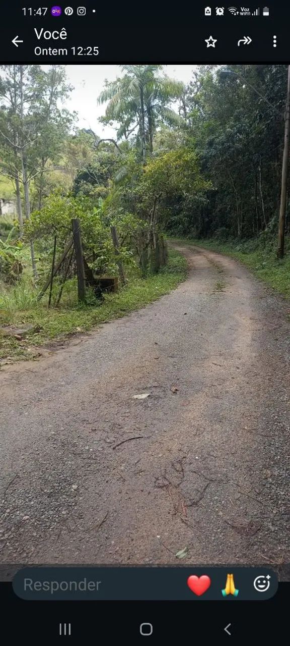 Procuro chacara p alugar