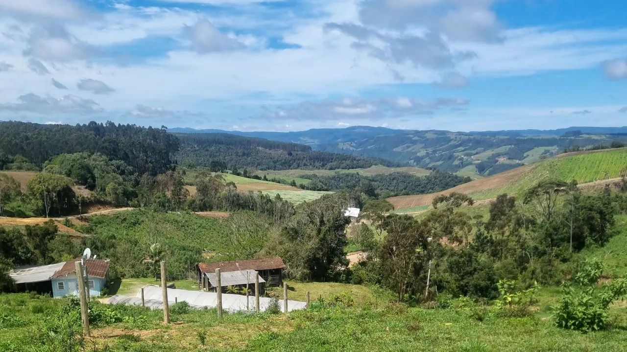 Terreno  - Foto 3