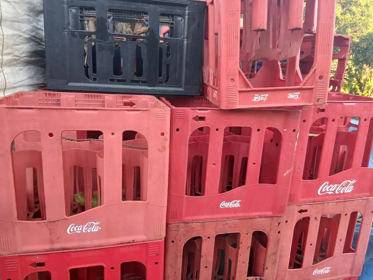 Caixas plástica transportar bebidas