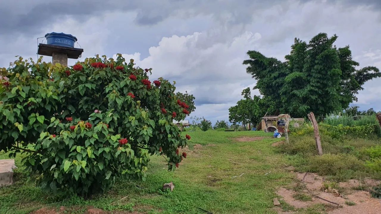 Vendo sítio aproximadamente 100 hectare 70km Cuiabá região manso.  - Foto 2