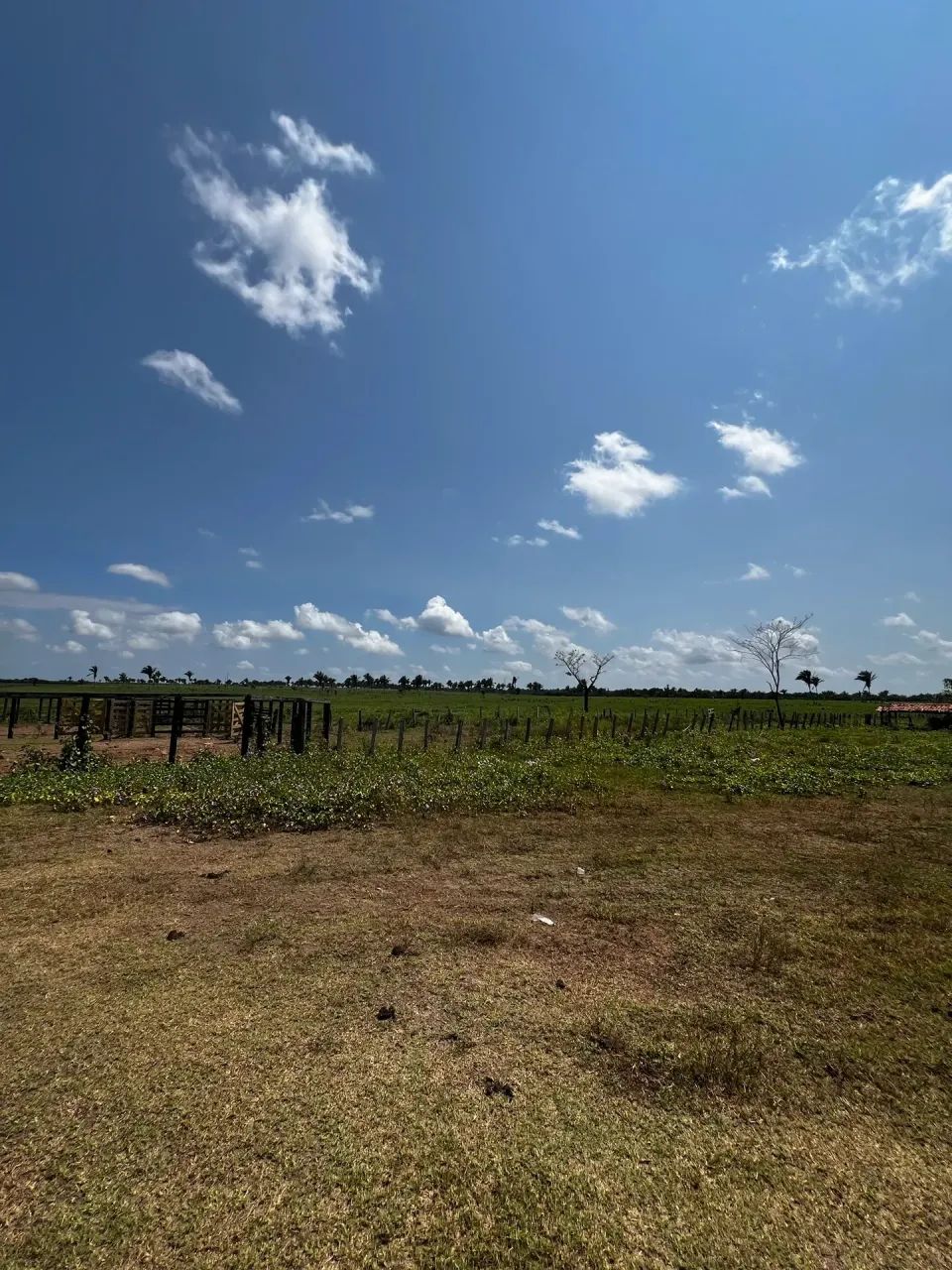 Fazenda com 830 Hectares próxima de Santa Inês - Foto 5