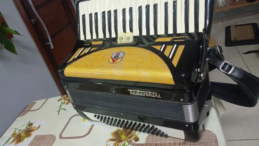 Acordeon  - Foto 4