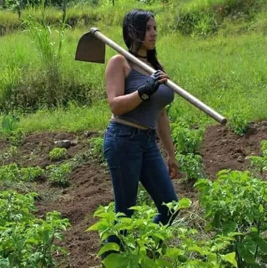 Calcario Agricola+magnesio sc 25kg  para Café, milho e lavoura em geral - Ji-parana - Foto 4