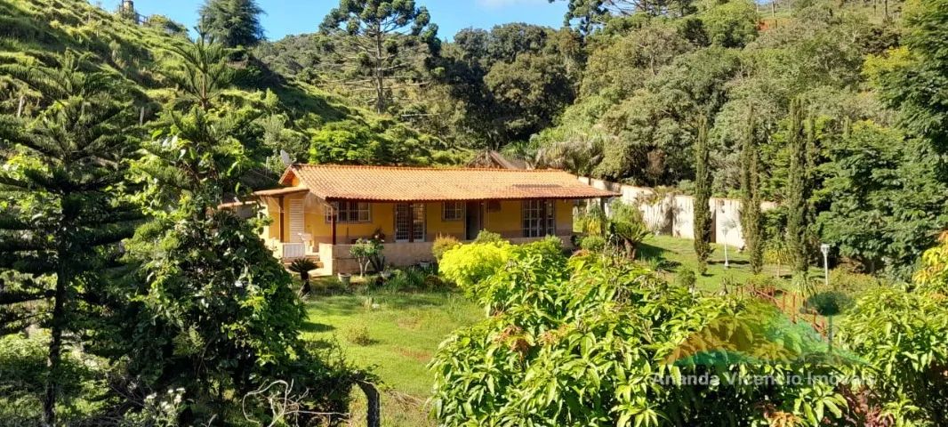Espetacular chácara com 12.000m² na belíssima Mantiqueira!! Rica em água Delfim Moreira MG - Foto 5