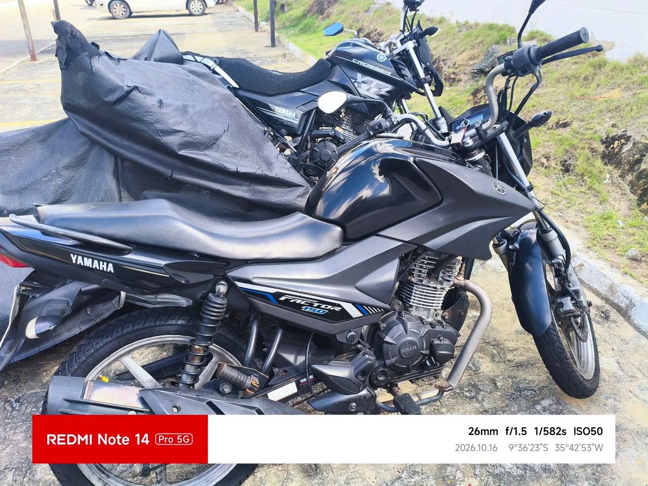 FACTOR ED 150 FLEX.  2022  - Foto 2