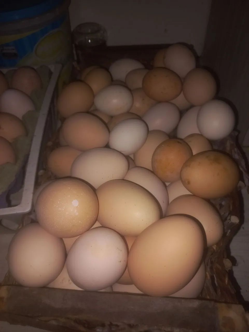 Ovos Caipira  - Foto 4