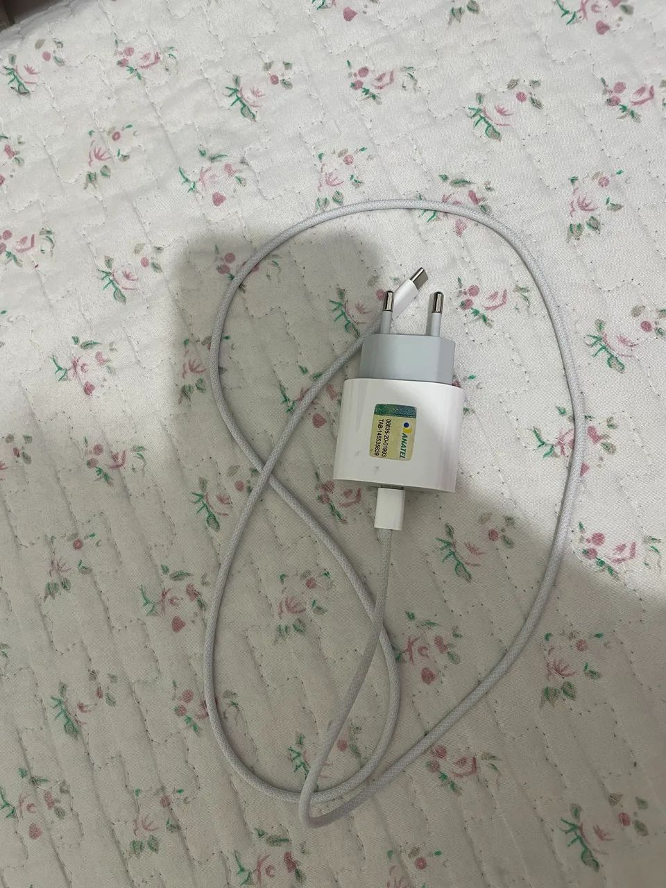 Carregador original do iPhone.