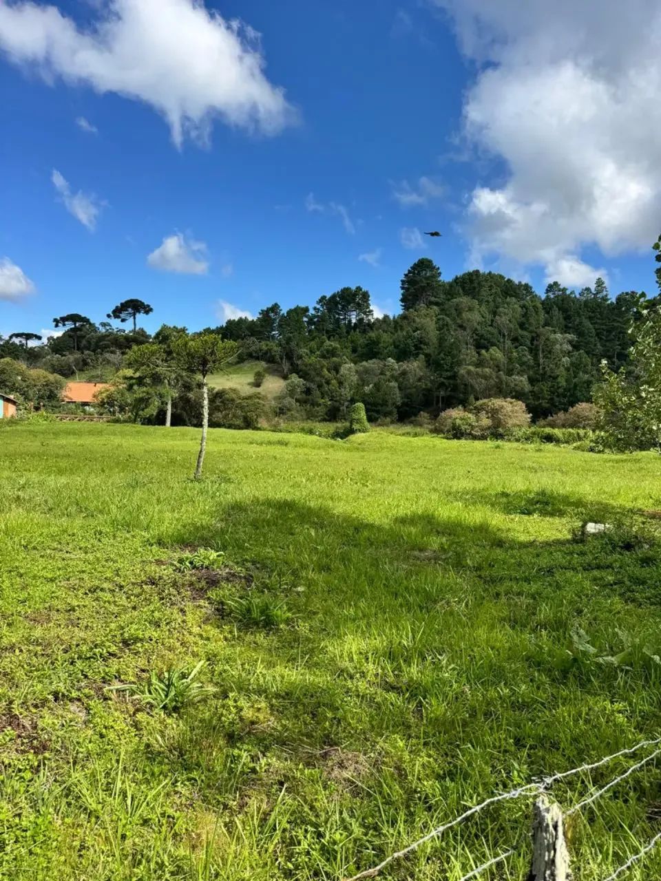 Terreno no centro de Rancho Queimado - SC - Foto 5