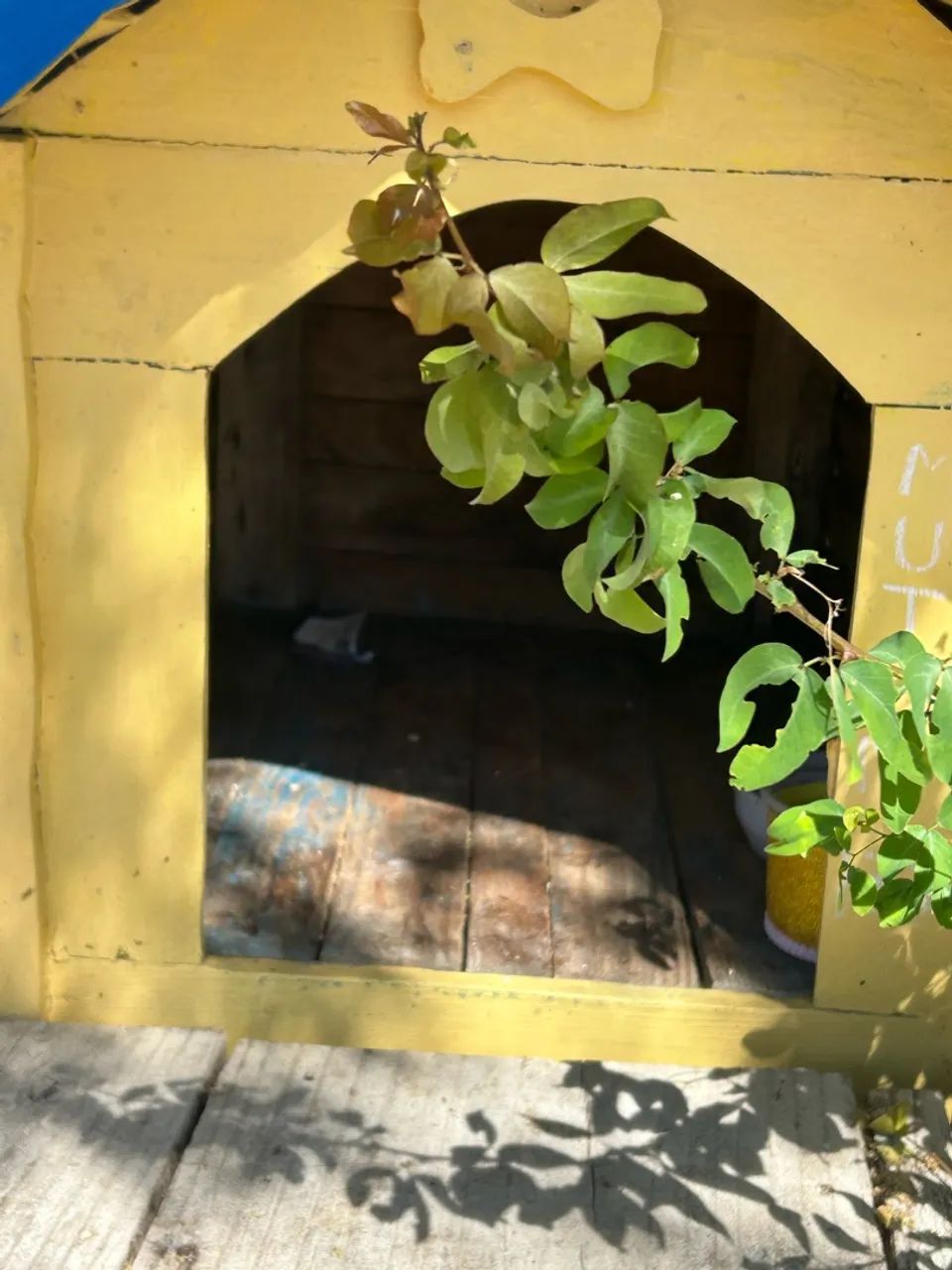 Casinha para pets - Foto 4