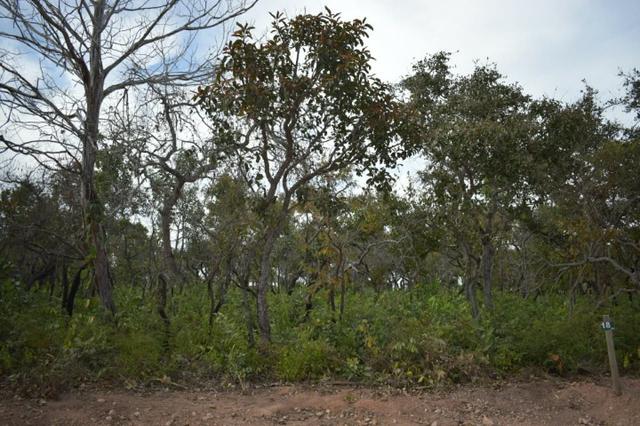 Lote Condomínio Recanto dos Piquizeiros no Manço - Foto 14