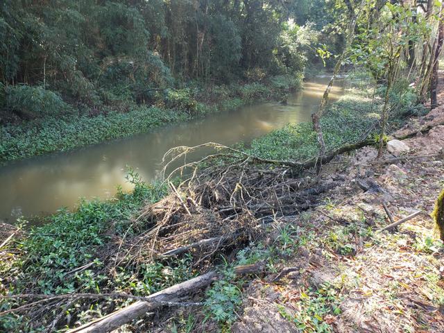 Chácara Agudos do Sul - 50 mts da Br c/ Tanque e rio - Foto 4