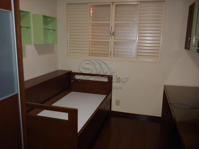 Casa à venda com 3 dormitórios em Santa luzia, Jaboticabal cod:V4408 - Foto 17