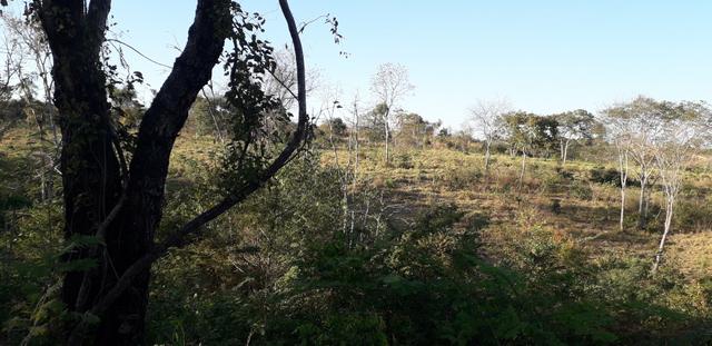 Chácara a 46 km de cuiaba - Foto 6