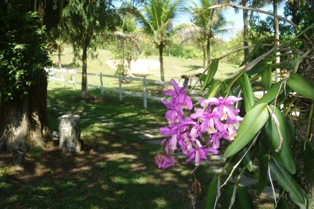 Jordão corretores - Lindo sítio/pousada em santana de Japuíba. - Foto 3