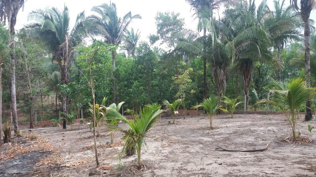 Terreno excelente - Foto 9