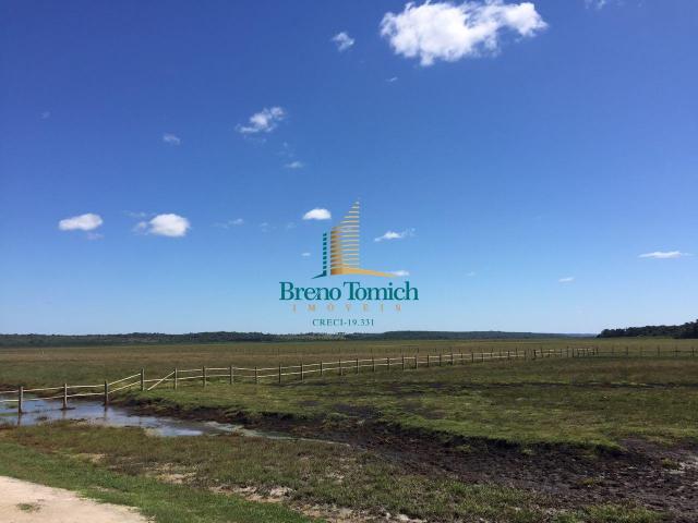 Fazenda à venda, 12100000 m² por r$ 37.000.000 - trancoso - porto seguro/bahia - Foto 4