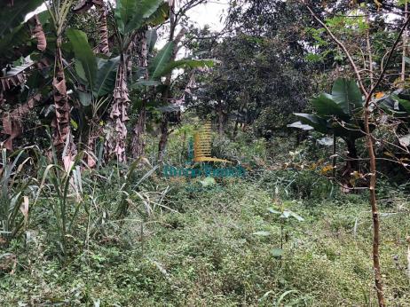 Chácara à venda, 4000 m² por r$ 120.000,00 - 20km de teófilo otoni - teófilo otoni/mg - Foto 6