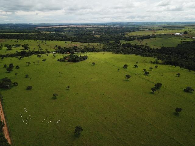 Fazenda em Bela Vista de Goiás de 15 Alqueires, à 45 km de Goiânia Dentro da Cidade - Foto 3