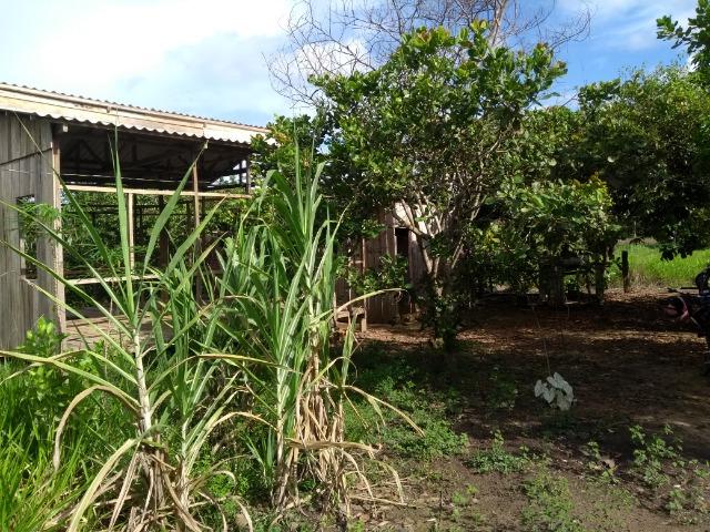 Chácara - Foto 2