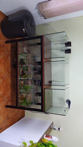 Bateria de aquários com estrutura de Metalon!