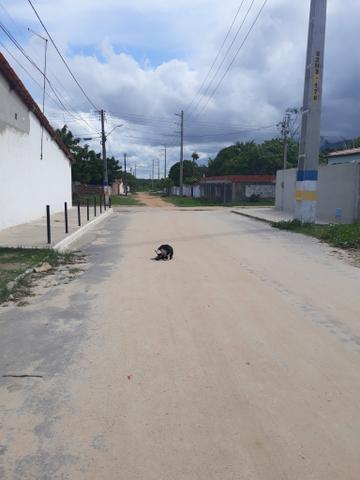 Casa Na Pavuna aberto a negociações - Foto 3