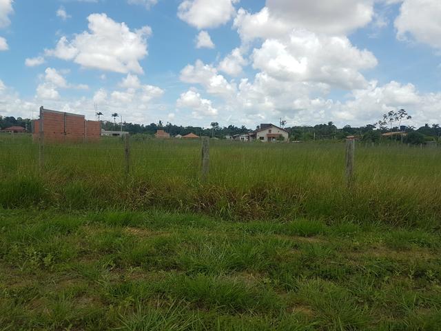 Vendo Chácara - Foto 7