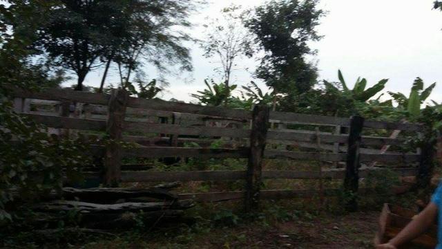 Chácara 23 Hc,Ribeirão do Gloria, perto de Agrovila das Palmeiras - Santo Antonio Leverger - Foto 6