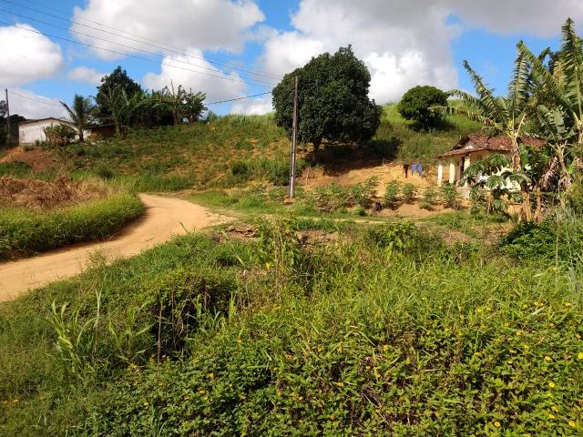 Fazenda Pronta Para Agricultura, ou etc, em Cortes-PE - Foto 19