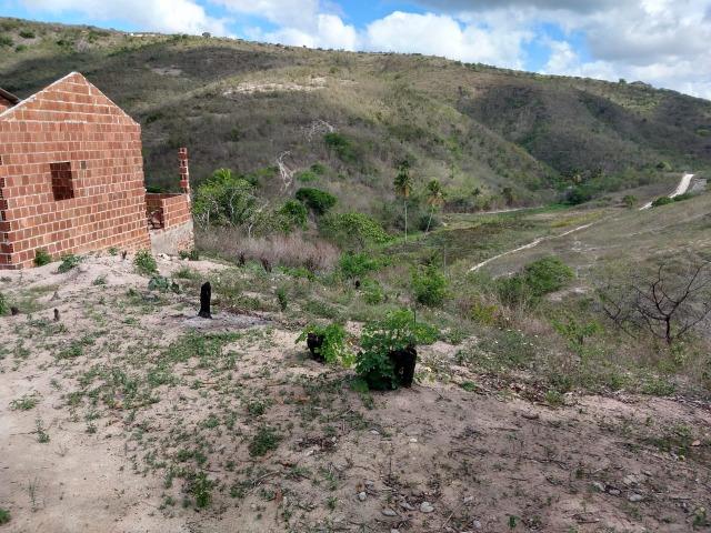Sitio com 3 hectares Por Trás do Hotel highlander em Gravatá-PE - Foto 14