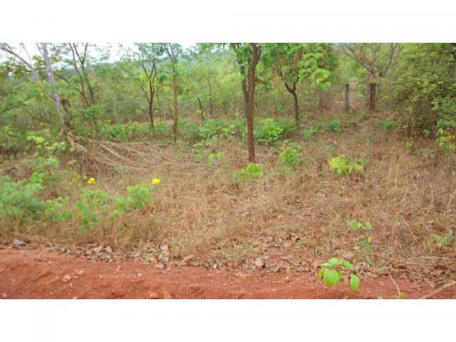 Chácara à venda em Zona rural, Chapada dos guimaraes cod:20937 - Foto 19