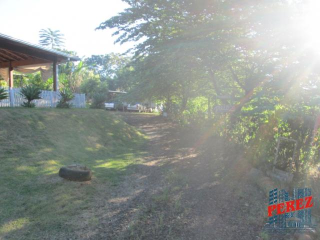 Chácara para alugar em Limoeiro, Londrina cod:13650.5347 - Foto 20