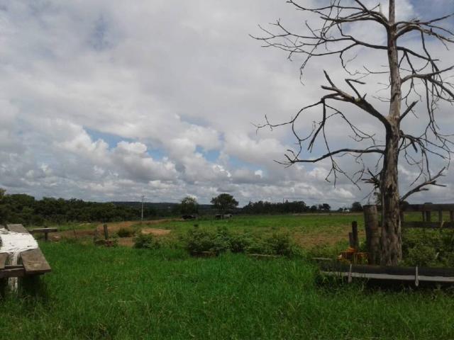 Chácara à venda em Rural, Nova mutum cod:22068 - Foto 15