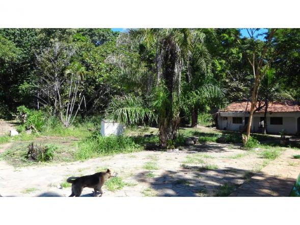 Chácara à venda em Jardim potiguar, Varzea grande cod:15475 - Foto 15