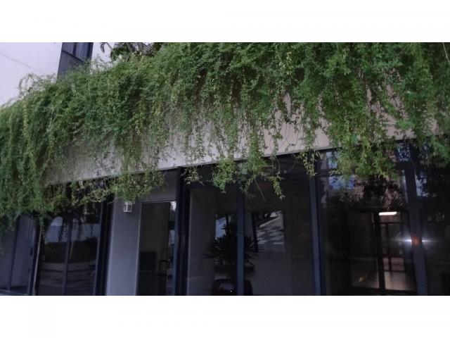 Apartamento à venda com 3 dormitórios em Quilombo, Cuiaba cod:18217 - Foto 5
