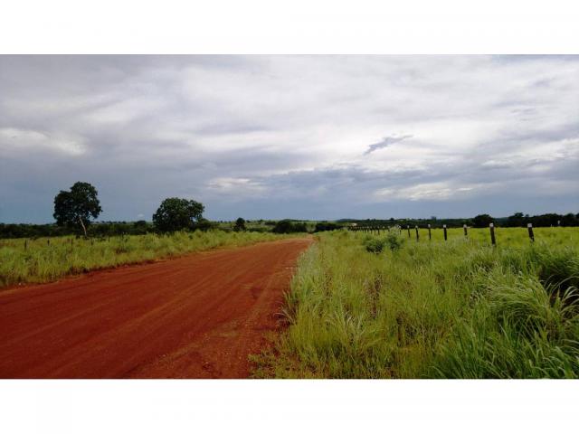 Chácara à venda em Zona rural, Nossa senhora do livramento cod:13185 - Foto 7