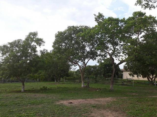 Chácara à venda em Zona rural, Varzea grande cod:20849 - Foto 10