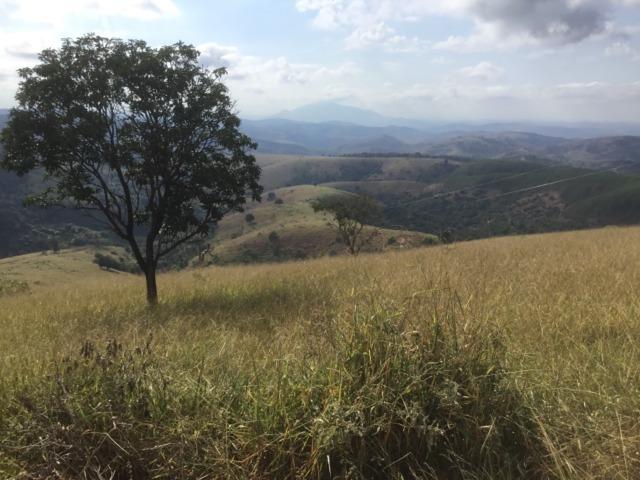 Fazenda 455.96 hectares - Governador Valadares/MG - Foto 10