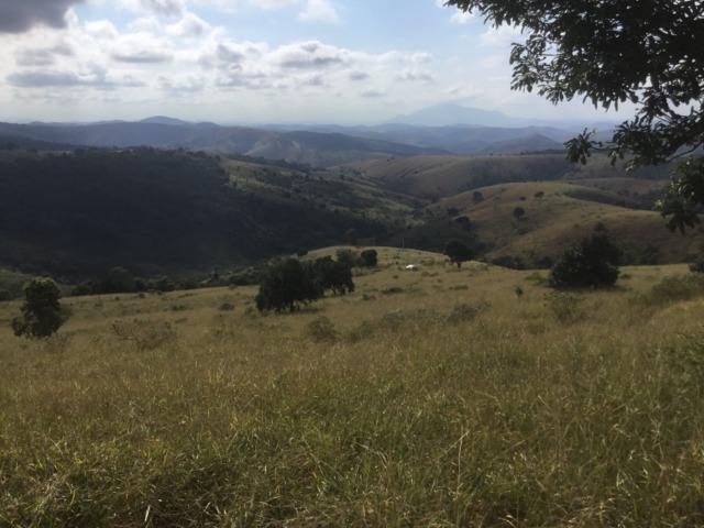 Fazenda 455.96 hectares - Governador Valadares/MG - Foto 2