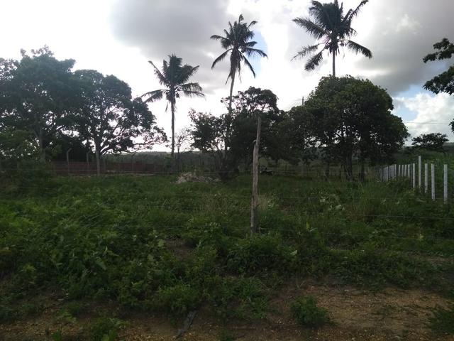 Terreno Em Pedra Branca - Foto 8
