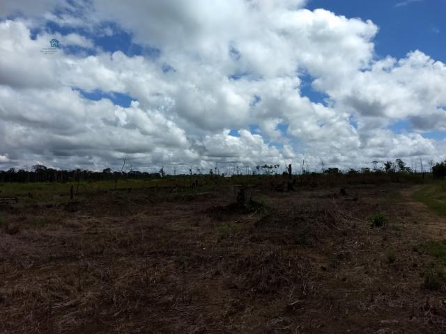 Chácara para Venda em Arigolândia Porto Velho-RO - Foto 2