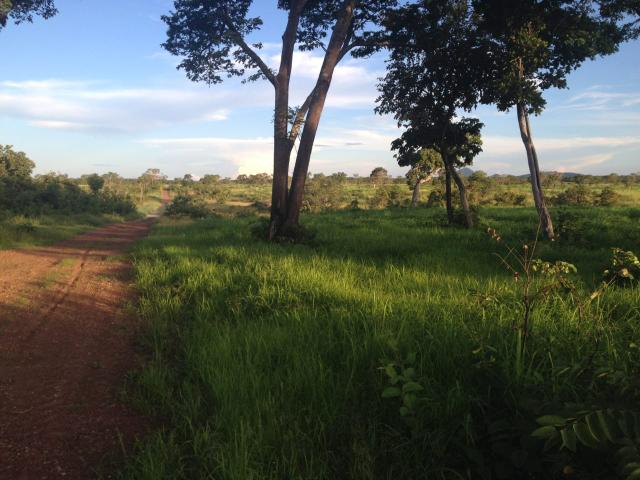 Fazenda estado Tocantins - Foto 4