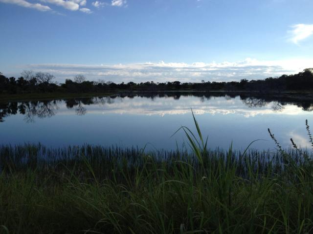 Fazenda estado Tocantins - Foto 3