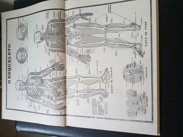 Grande Atlas de Anatomia Humana - Foto 4