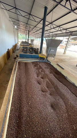 Secador de caixa Estático (financiamos pelo Finame) - Foto 2