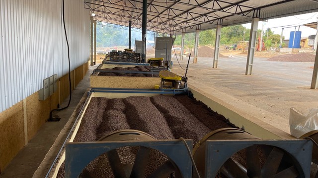 Secador de caixa Estático (financiamos pelo Finame) - Foto 3